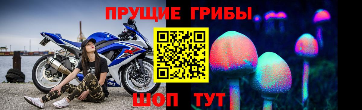 Галлюциногенные грибы ЛСД Алексеевка